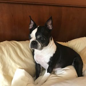 Meet your Posher, Robin